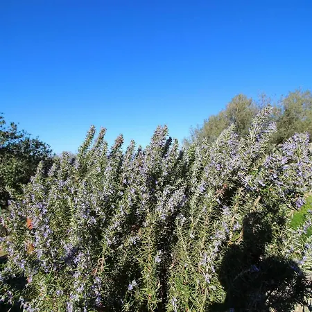 Area Stone House * Vela Luka