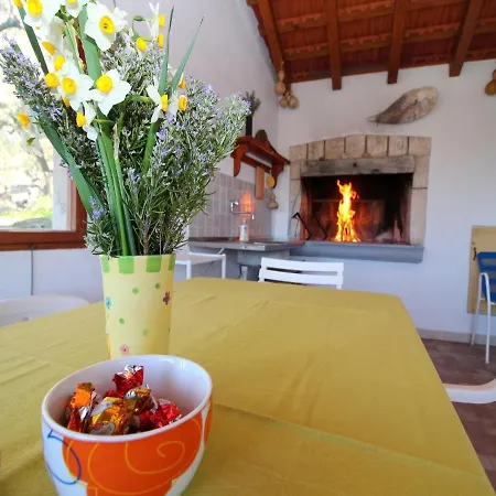 Semesterbostad Area Stone House *